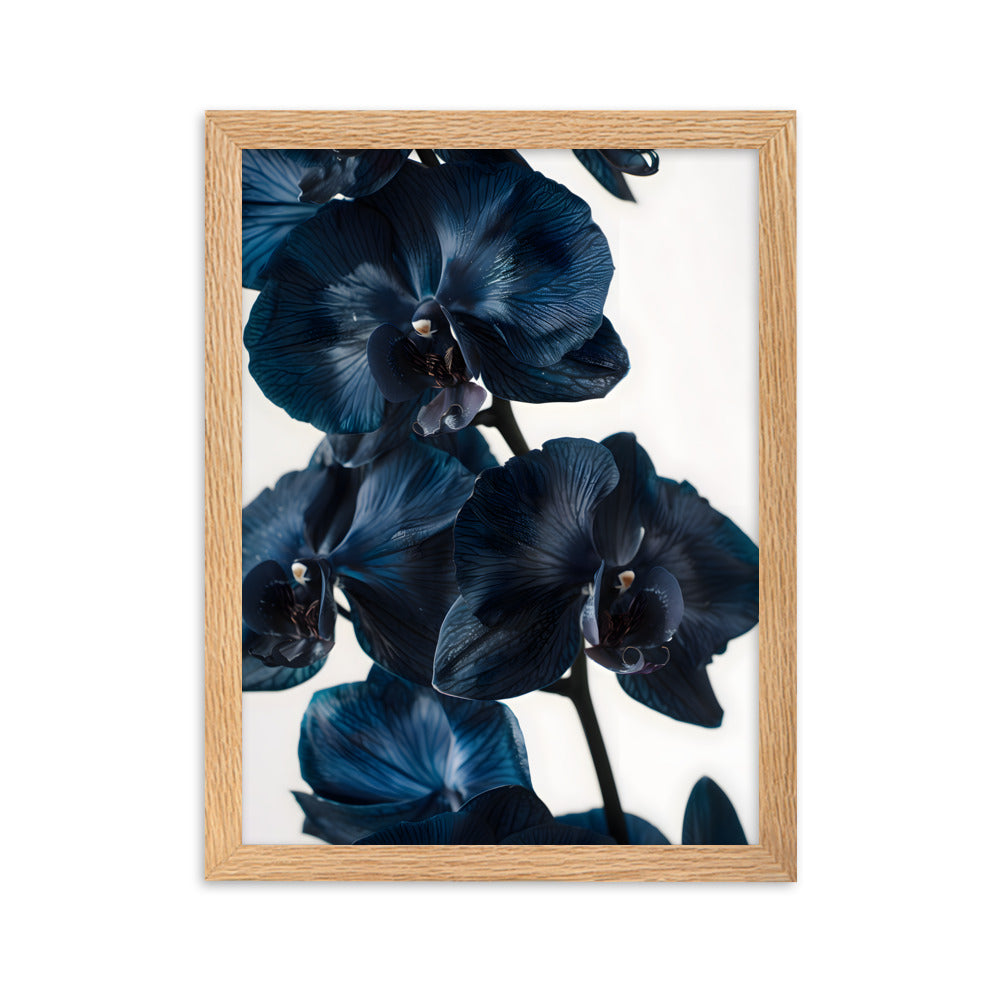 Poster Black Orchid - eingerahmt