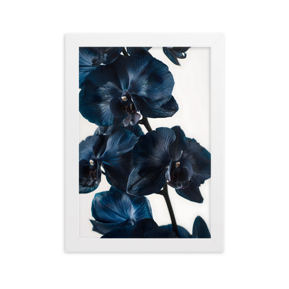 Poster Black Orchid - eingerahmt