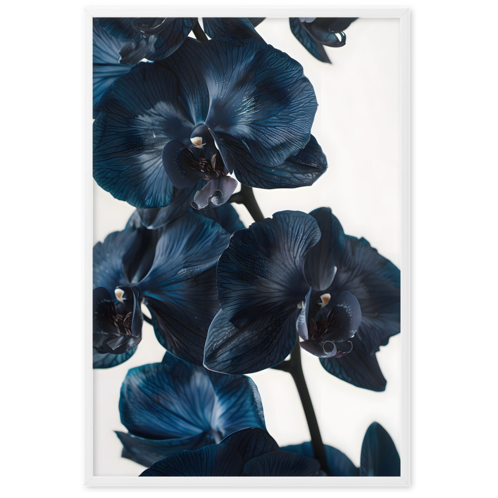 Poster Black Orchid - eingerahmt